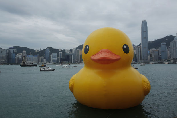 Photos: Duck, duck...boat?